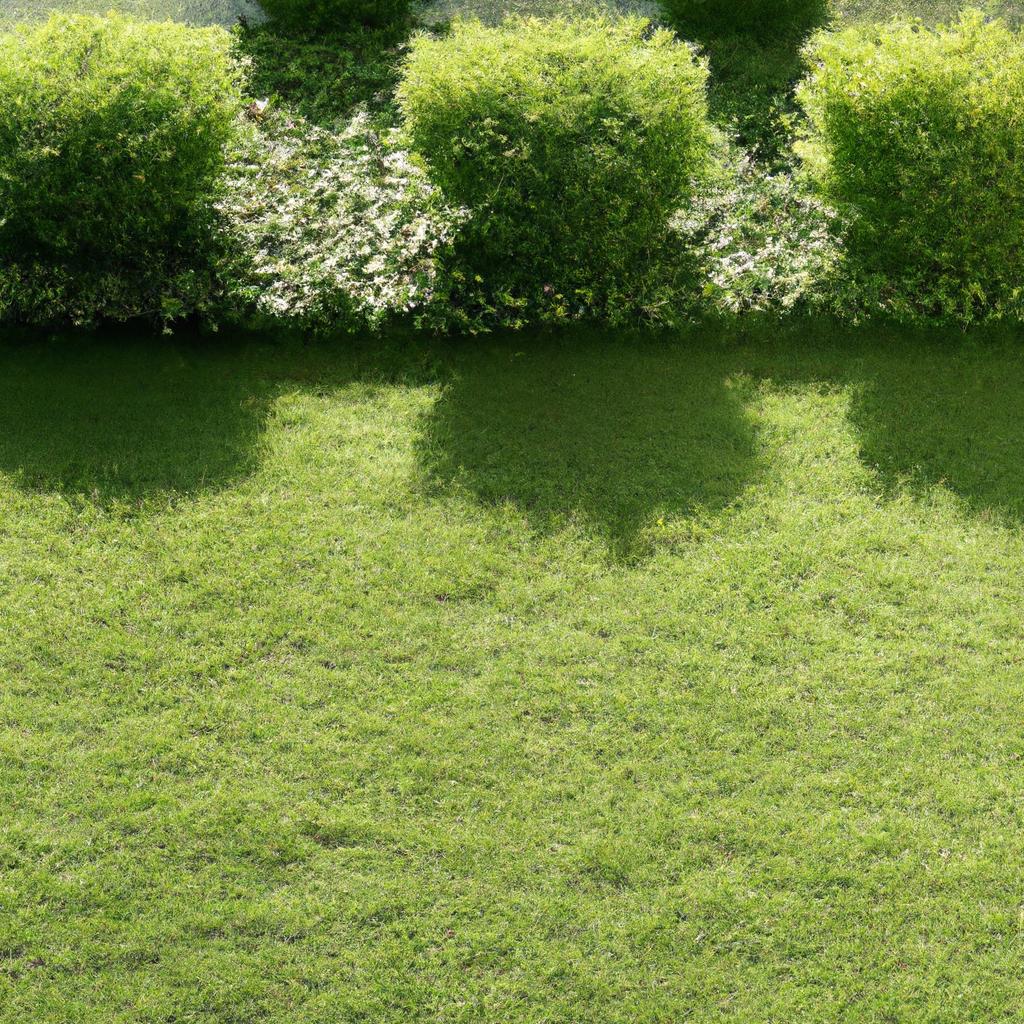 2. 植栽の魅力を活かす